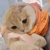 exterminator