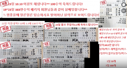 스트리머 로고