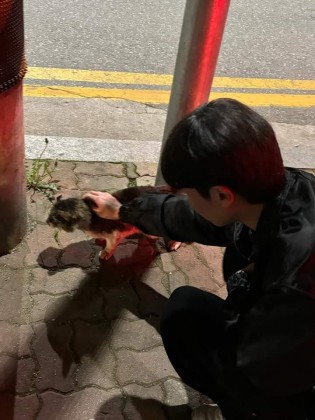 스트리머 로고