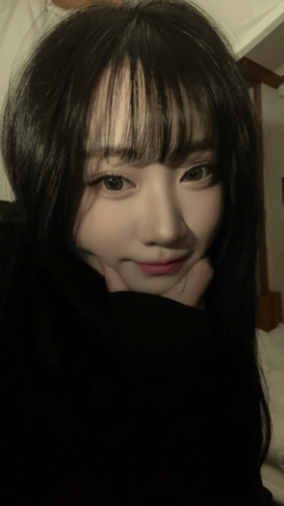 스트리머 로고