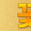 망고꽃경