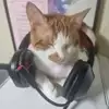 인성∀