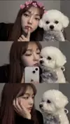 홍비찡