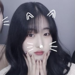 스트리머 로고