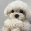 개소리냐...
