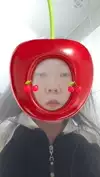 gid04me529