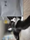 o현서o