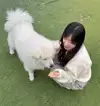 피꺄츄!