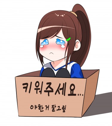 스트리머 로고