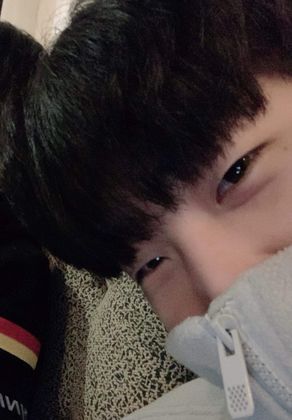 스트리머 로고