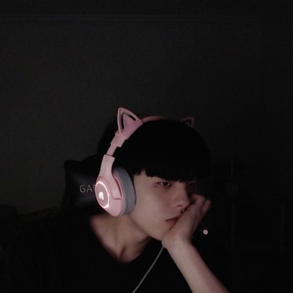 스트리머 로고