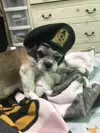 이사벨ㅤ