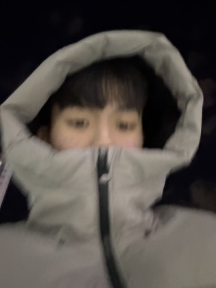 스트리머 로고