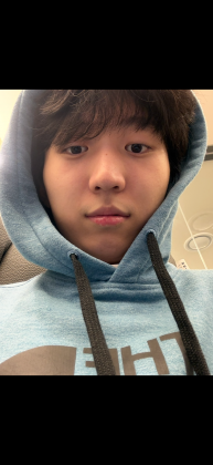 스트리머 로고