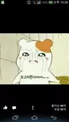 용이세계