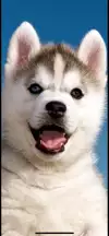 한현서