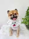 까미야멍멍