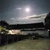 백기행