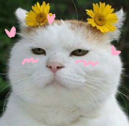 스트리머 로고