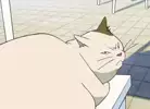 미지근한감자