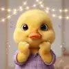나는올이요