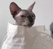 역상