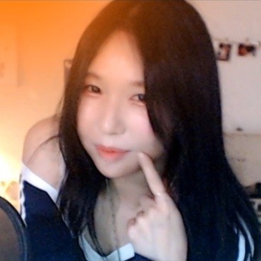 스트리머 로고
