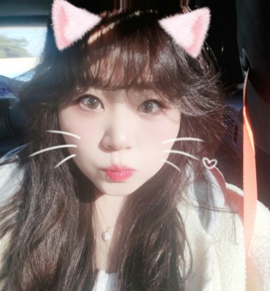 스트리머 로고