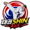 태권SHIN킥