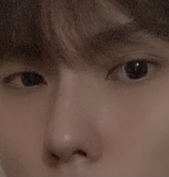 스트리머 로고