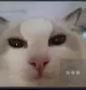 찌훈티비