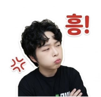 스트리머 로고