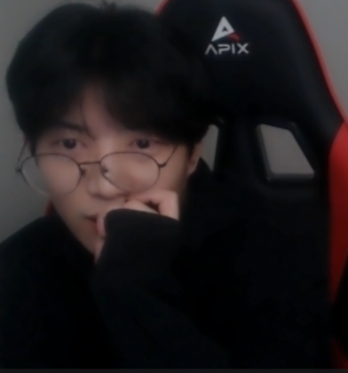 스트리머 로고