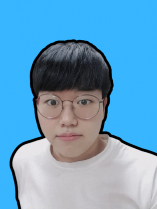 스트리머 로고