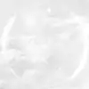 [슈]타이거