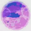 샤오*