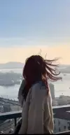 수풀림보배진
