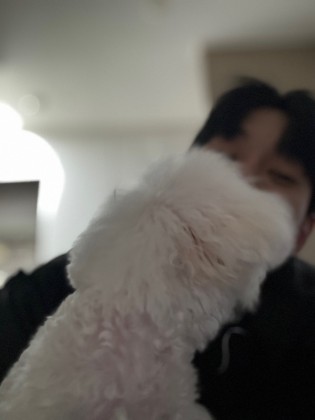 스트리머 로고