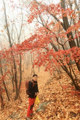 스트리머 로고