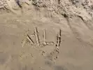 서니♥리믿거