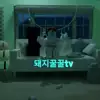 돼지꿀꿀tv