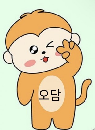 스트리머 로고