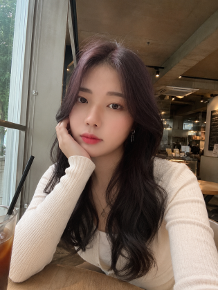 스트리머 로고