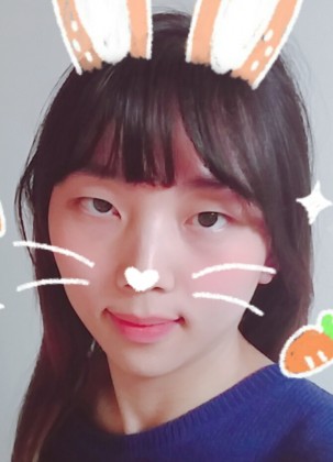 스트리머 로고