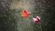 태슥키33태태
