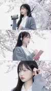 꽃은