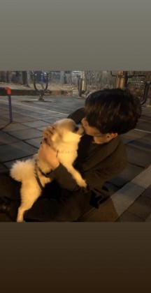 스트리머 로고