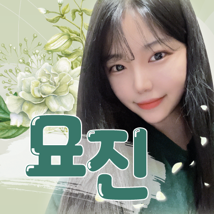 스트리머 로고