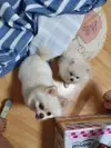 바다샤워
