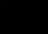 김성룡